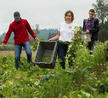 Rotary skaper nye muligheter